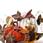 Applique Patterns C&T Publishing Kindle eBook-0